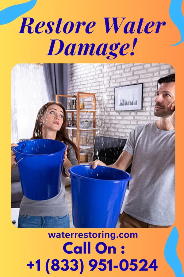 water restoration Quality Flood Cleanup Experts London