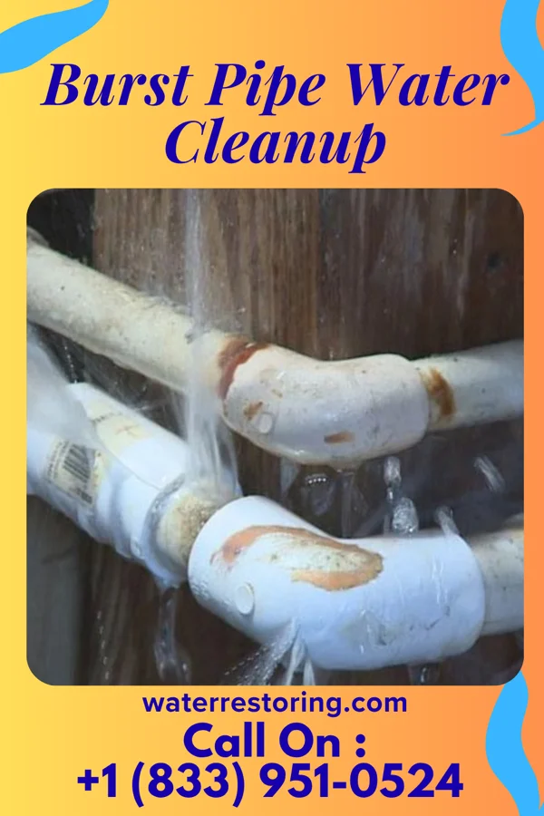 Burst Pipe Water Cleanup in London, OH