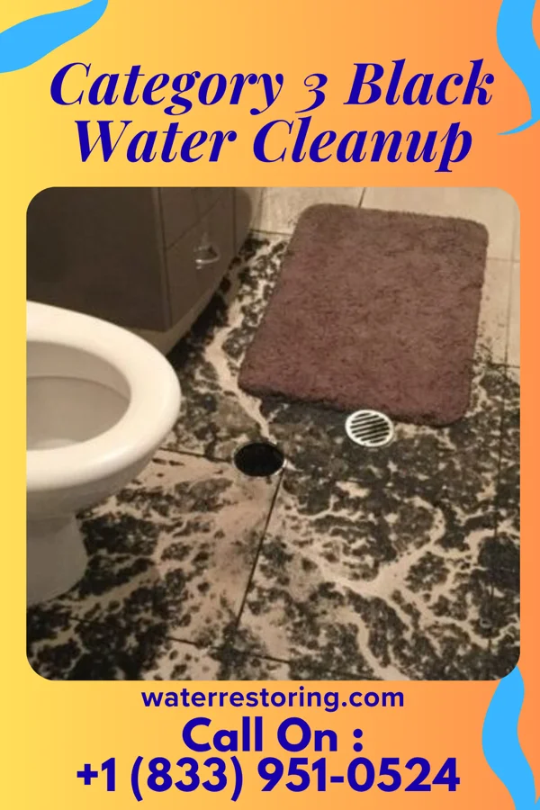 Category 3 Black Water Cleanup in London, OH