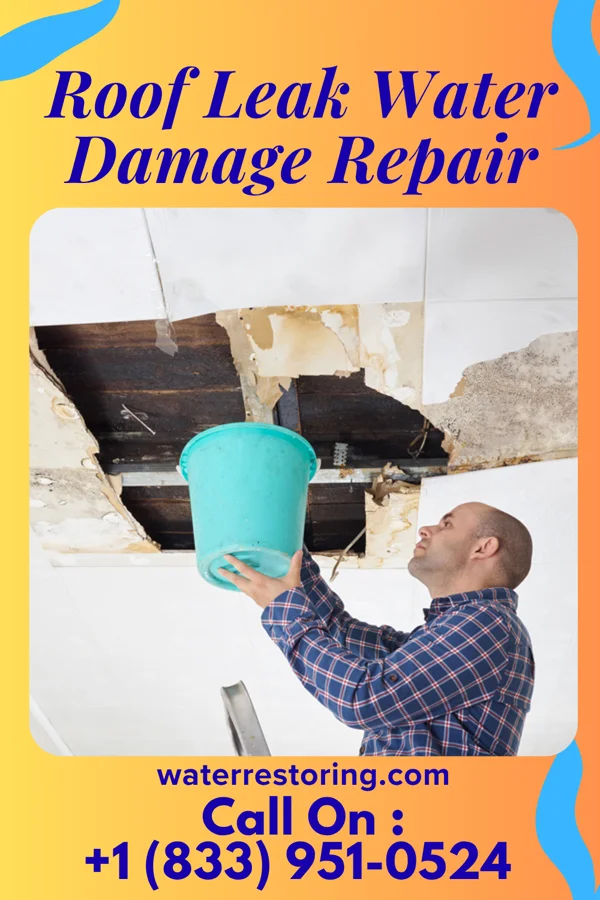 Roof Leak Water Damage Repair in London, OH