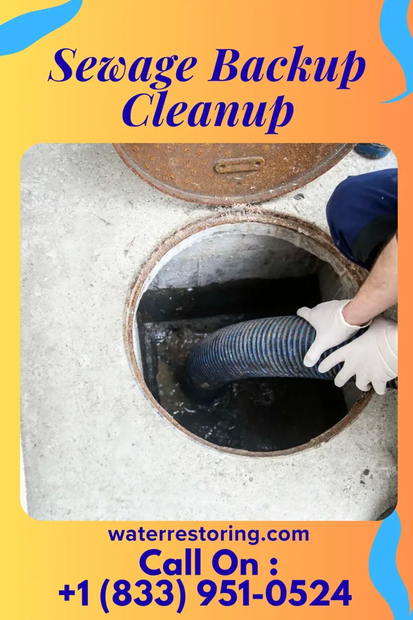 Sewage Backup Cleanup in London, OH