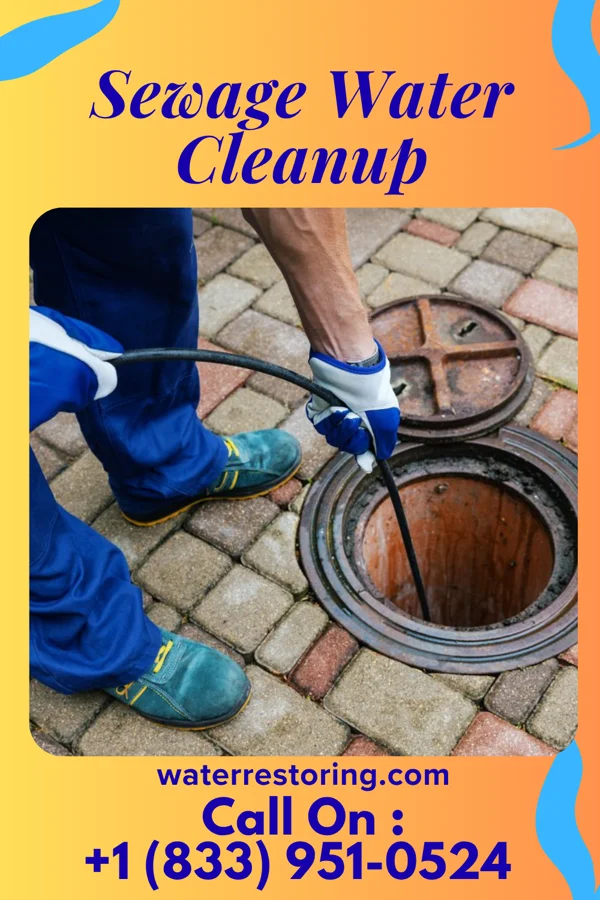 Sewage Water Cleanup in London, OH