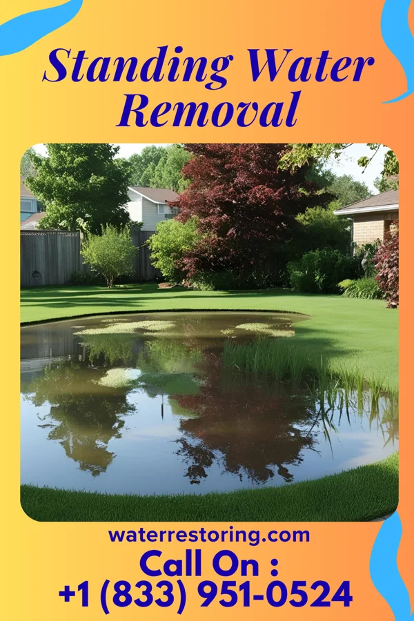 Standing Water Removal in London, OH